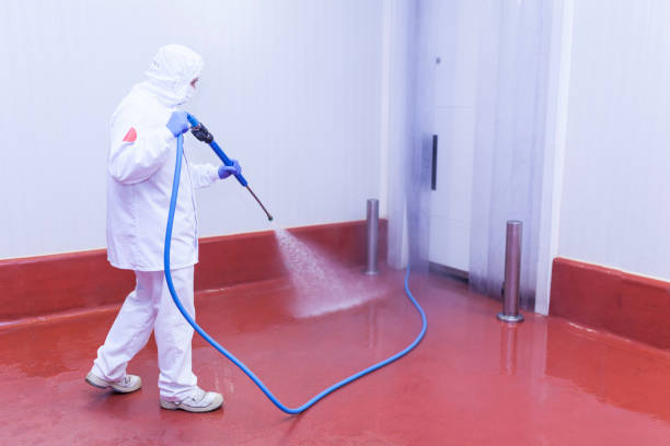 Trusted Lake Bluff, IL Pressure Washing Services Experts